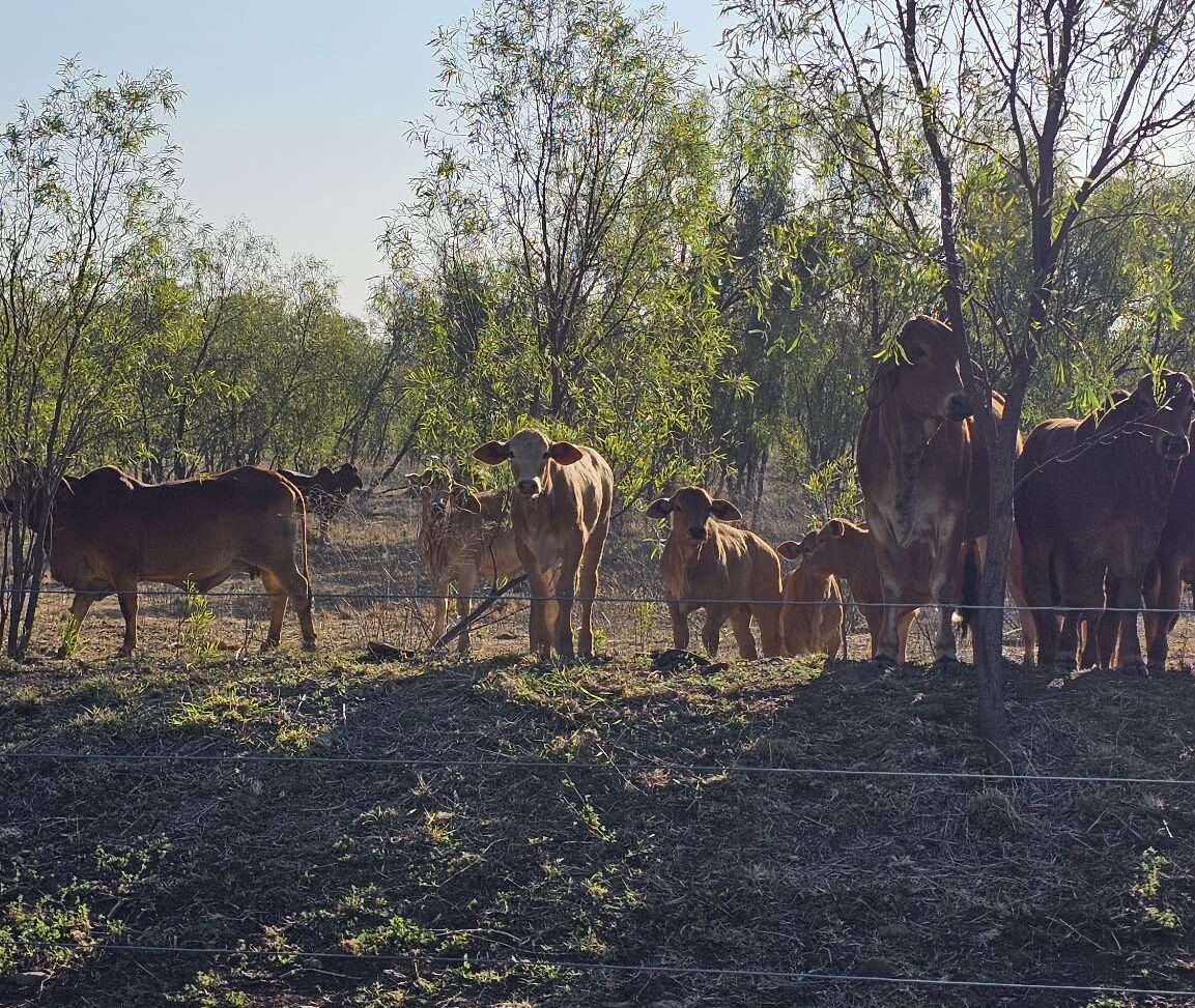 Farmlife