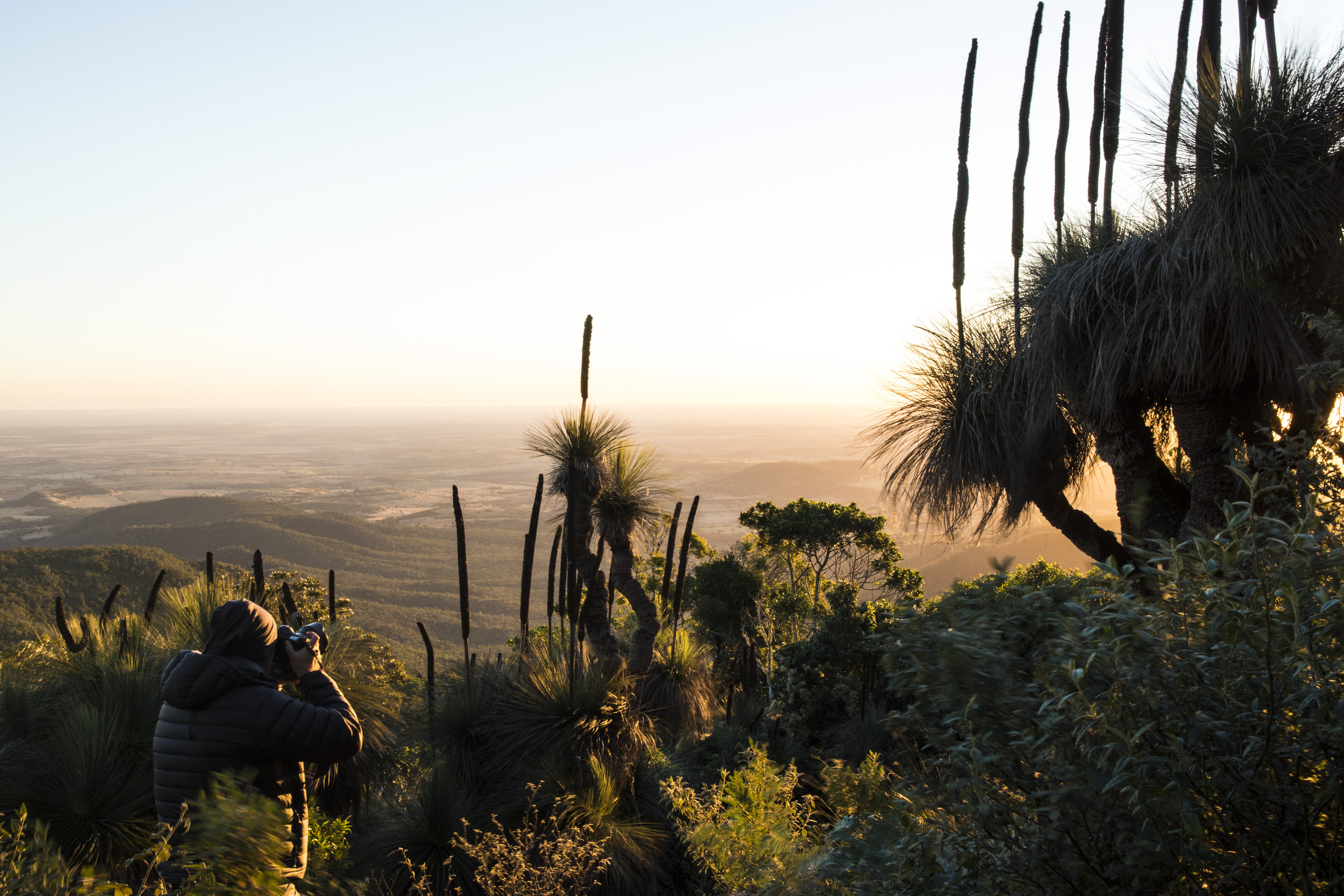 Bunya Mountains