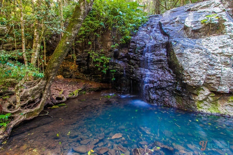 bunya mountains